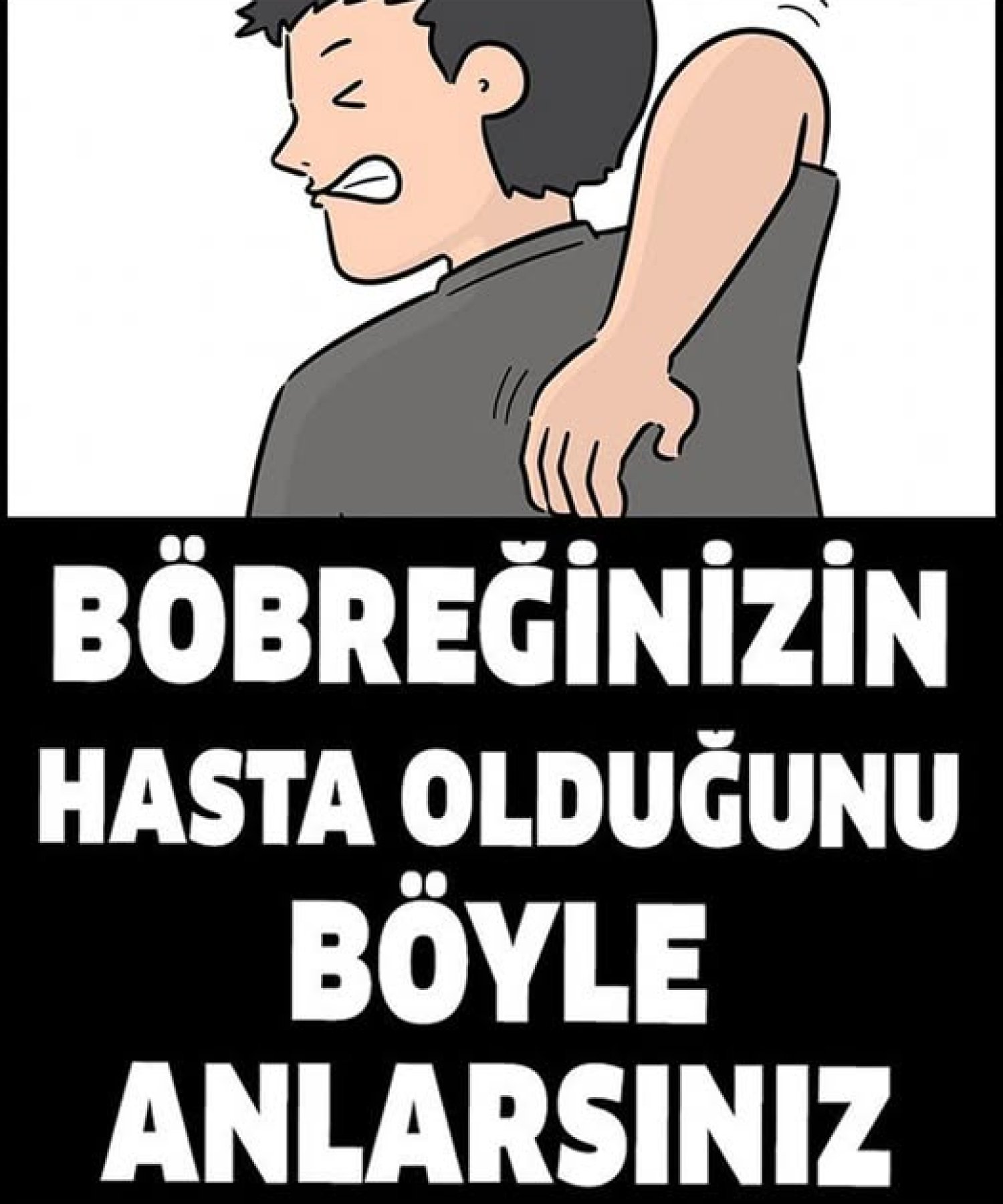 Böbreklerinizin Hasta Olduğunu Gösteren İşaretler
