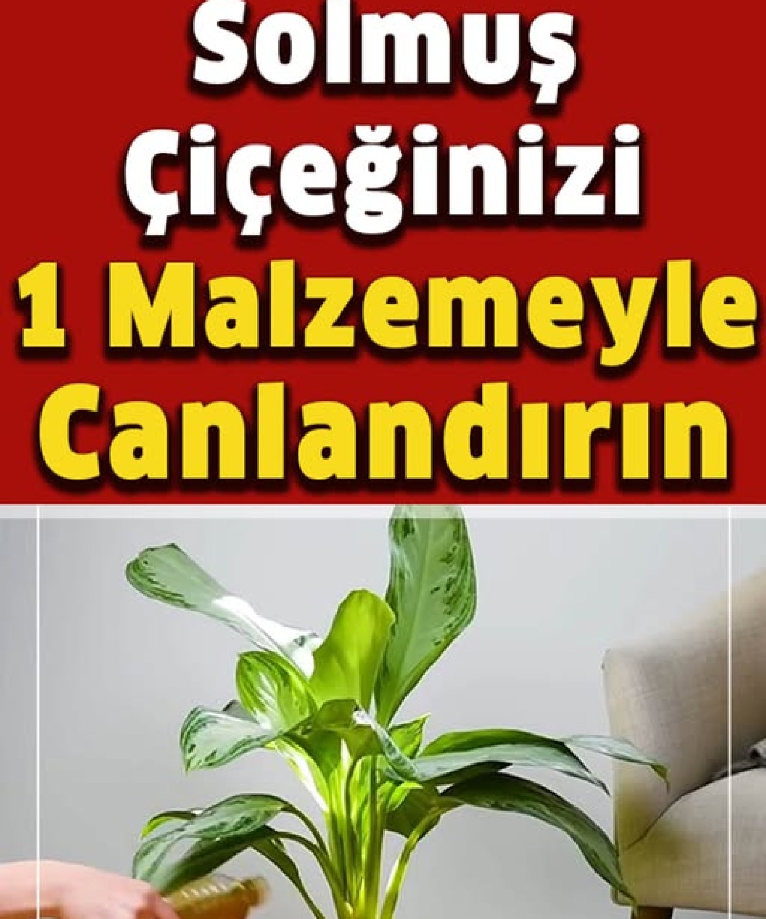 Solmuş Çiçeğinizi Bir Malzemeyle Canlandırın