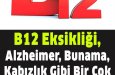 B12 Vitamini Bolca Kapsayan Yiyecekler