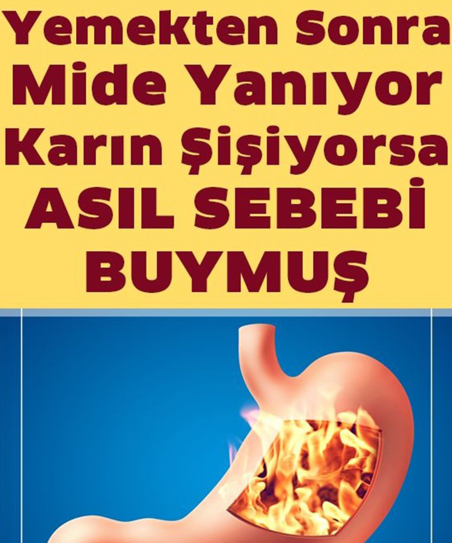 Mide Şişkinliği Ve Hazımsızlığın Asıl Sebebi