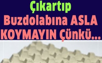 Yumurtayı kartonundan çıkarıp asla dolaba koymayın