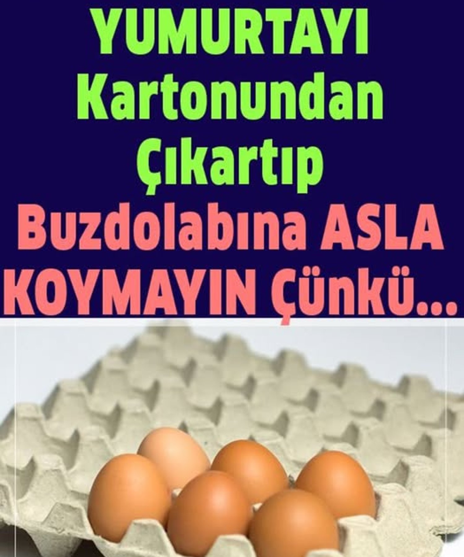 Yumurtayı kartonundan çıkarıp asla dolaba koymayın