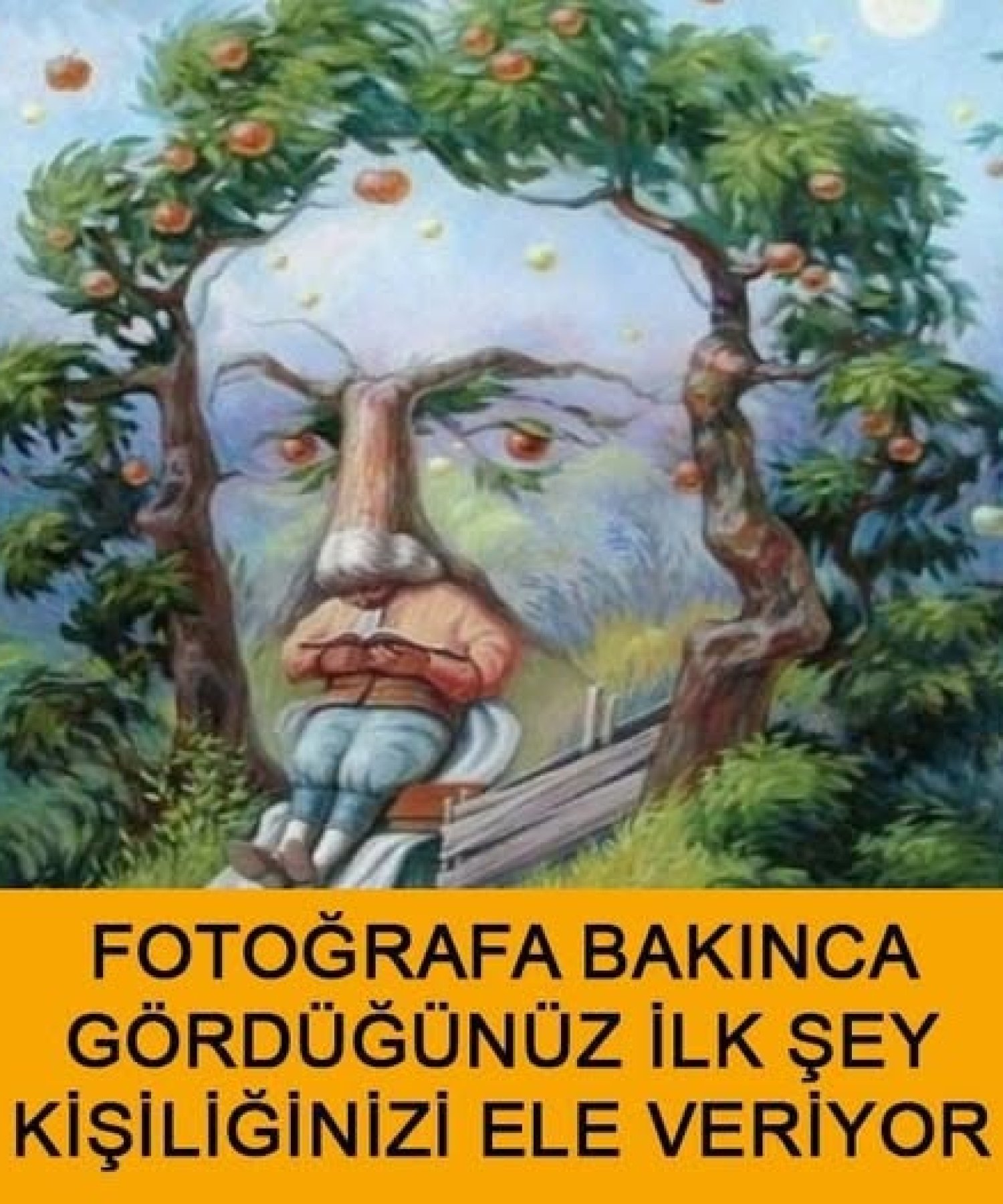 Fotoğrafa Bakınca Gördüğünüz İlk Şey Kişiliğinizi Ele Veriyor