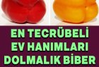 Dolmalık Biber Seçmenin Püf Noktası