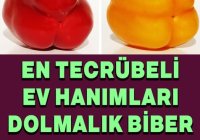 Dolmalık Biber Seçmenin Püf Noktası