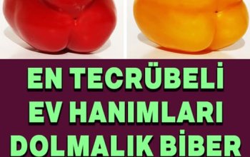 Dolmalık Biber Seçmenin Püf Noktası