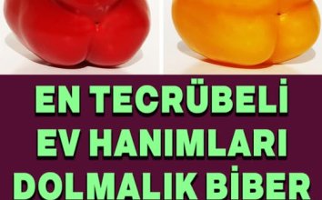 Dolmalık Biber Seçmenin Püf Noktası