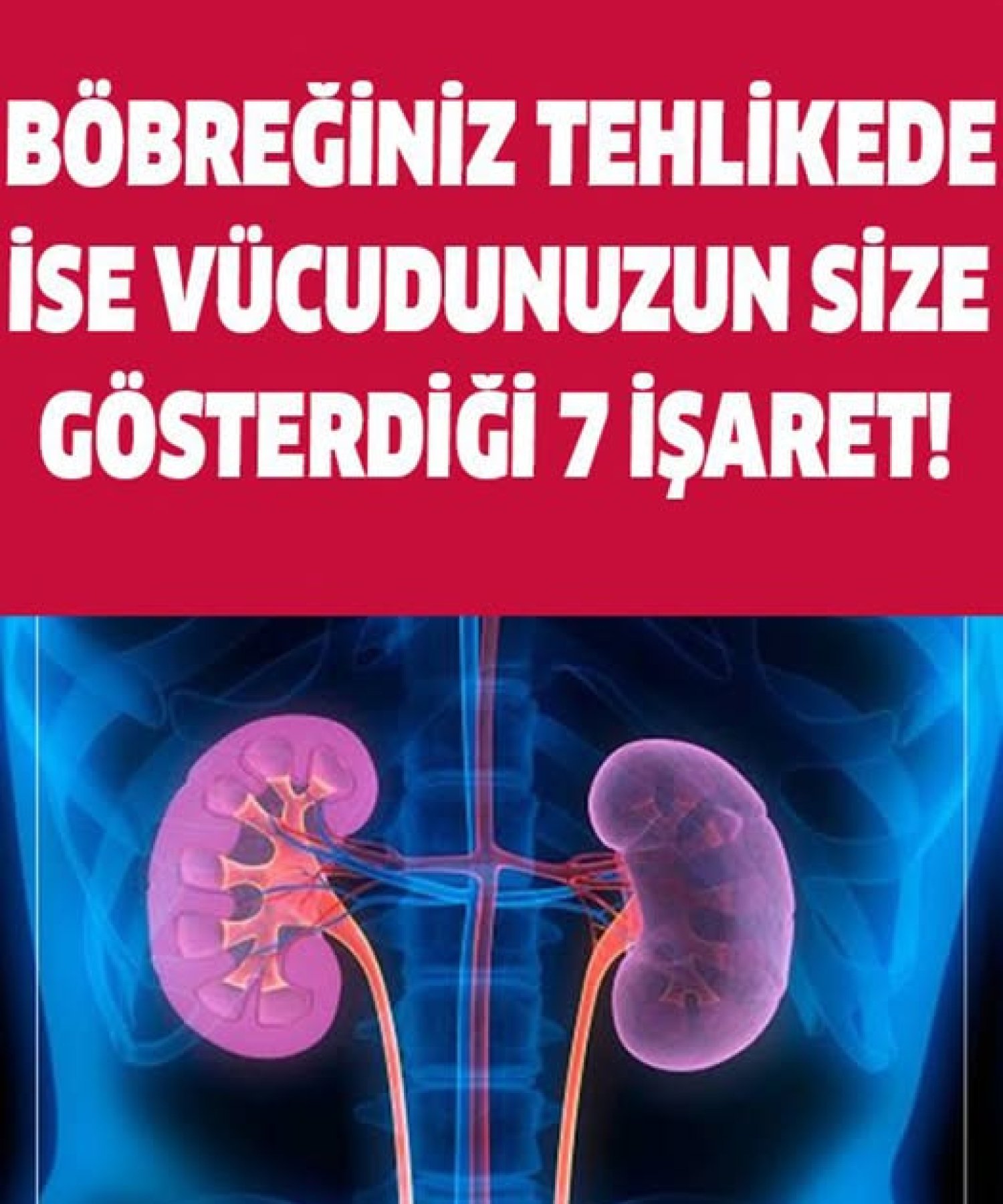Böbreğiniz tehlikede ise, vücut size bu 7 işareti verecek