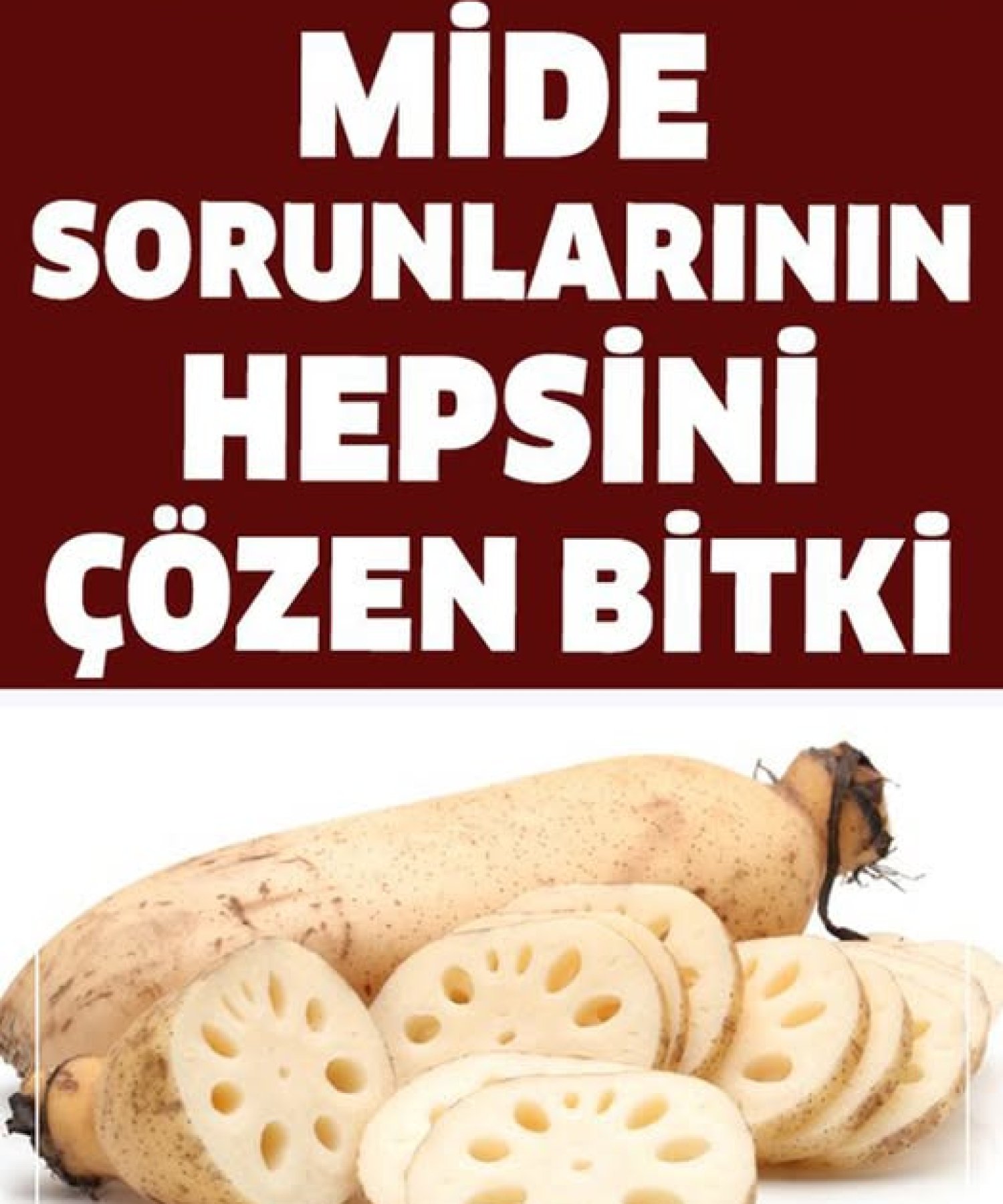 Bu Bitki Mide Sorunlarının Hepsini Çözüyor