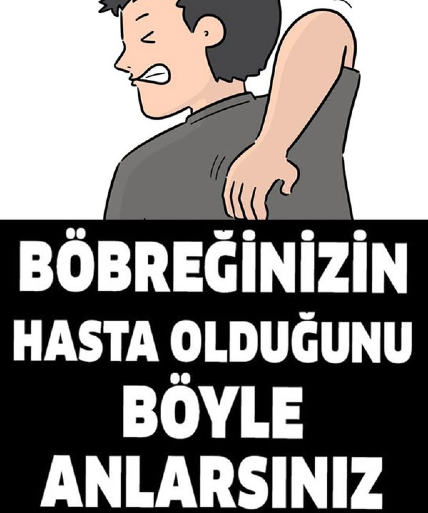 Böbreklerinizin Hasta Olduğunu Gösteren İşaretler