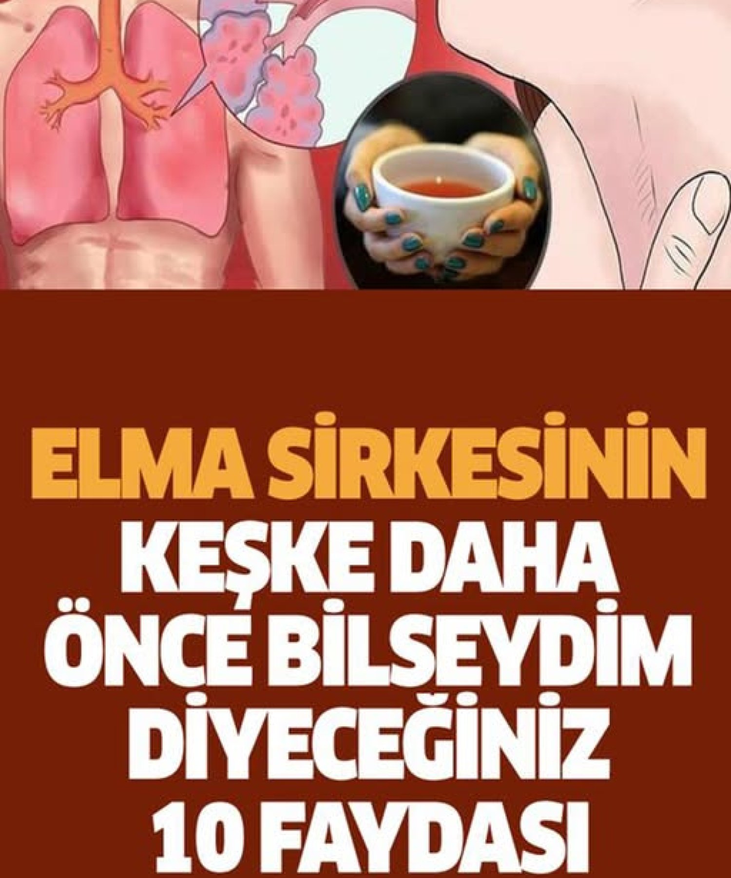 Elma Sirkesinin Keşke Daha Önce Bilseydim Dediğiniz Faydaları