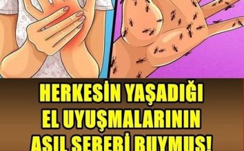 El Uyuşmasının Asıl Sebebi bakın nelere yol açıyor