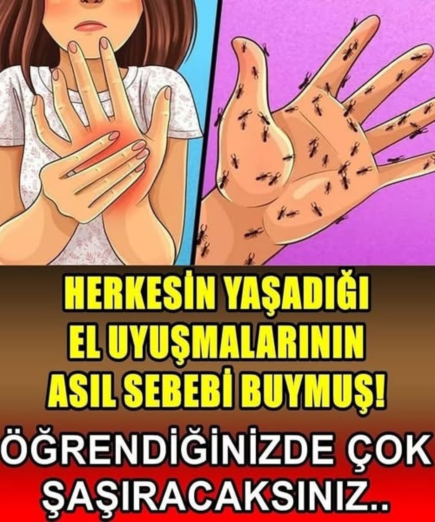 El Uyuşmasının Asıl Sebebi bakın nelere yol açıyor
