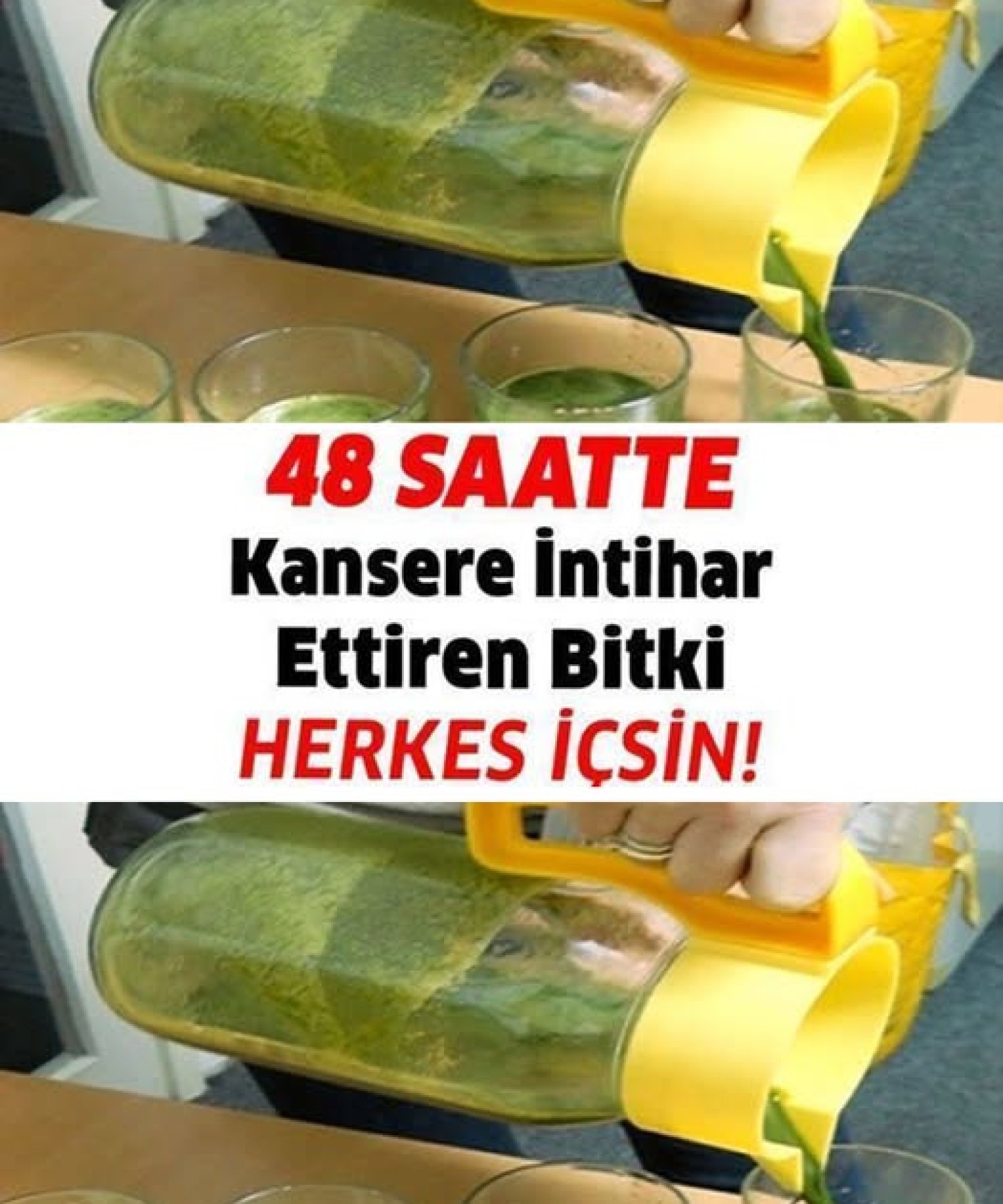 48 Saatte Kanseri Yok Eden İçecekle Tanışın