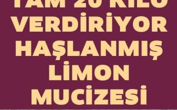 Haşlanmış Limon Sayesinde 20 Kilo Verebilirsiniz