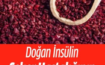 Şeker Hastalığının Çaresi Onda
