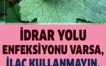 İdrar Yolu Enfeksiyonuna Konutta Natürel Çözüm, Kaynatıp Suyunu İçin