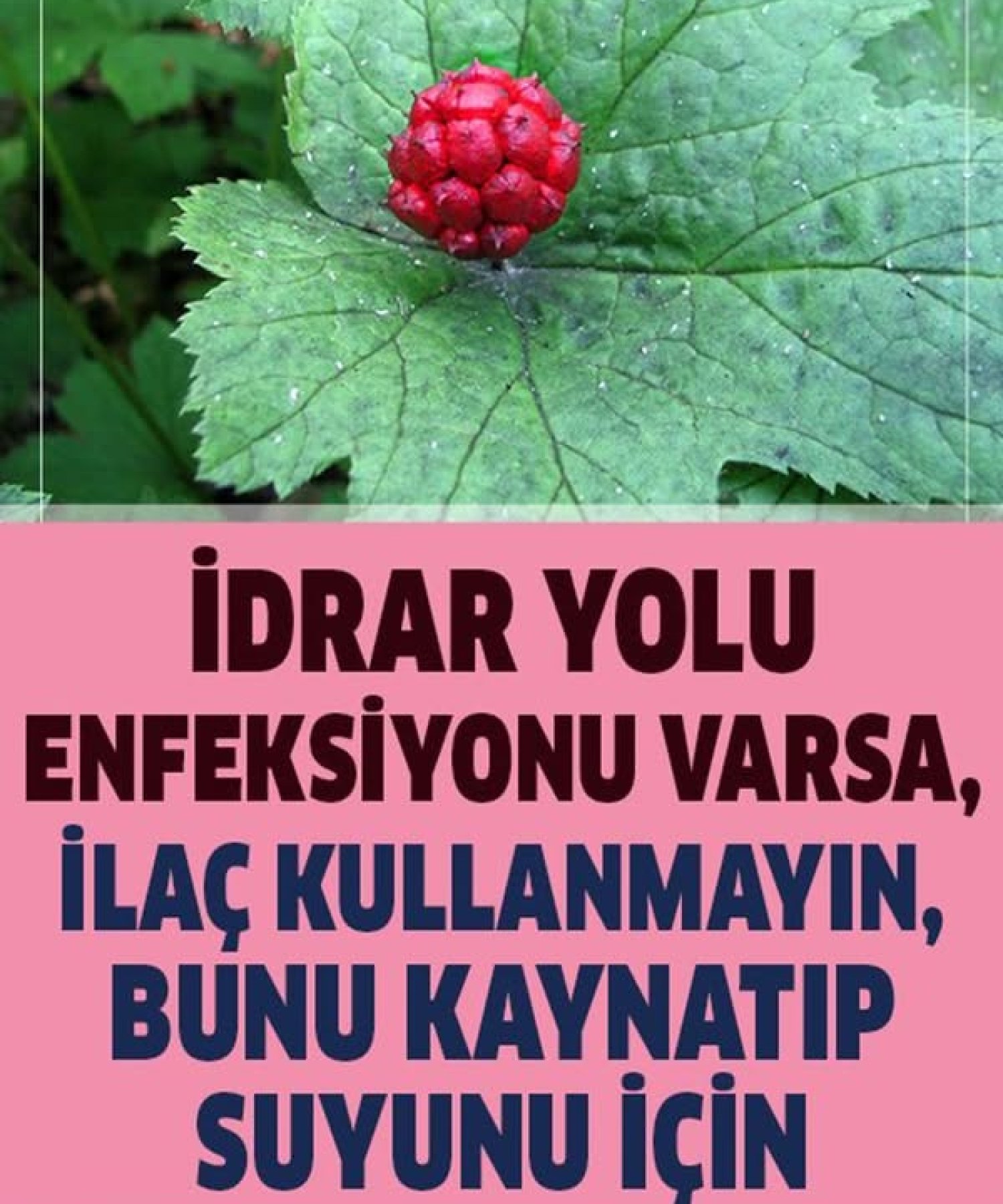 İdrar Yolu Enfeksiyonuna Konutta Natürel Çözüm, Kaynatıp Suyunu İçin