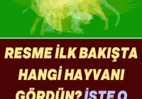 Resimde Gördüğün İlk Hayvan, Karakterini Ortaya Çıkaracak