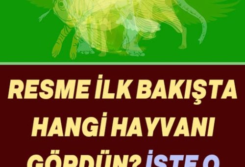 Resimde Gördüğün İlk Hayvan, Karakterini Ortaya Çıkaracak