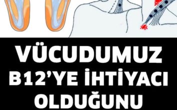 Vücudumuz B12’ye İhtiyacı Olduğunu Böyle Anlatır