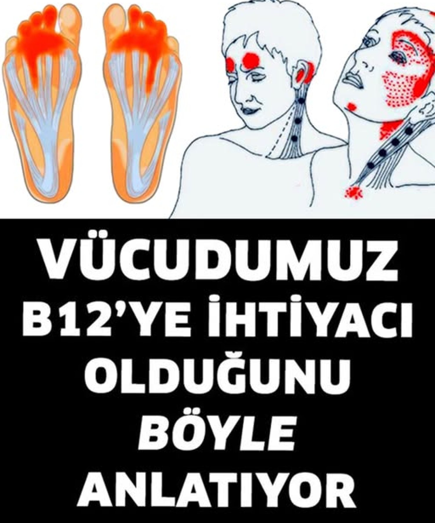 Vücudumuz B12’ye İhtiyacı Olduğunu Böyle Anlatır