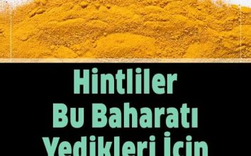 Bunları Yiyin Kanser Size Yanaşamasın